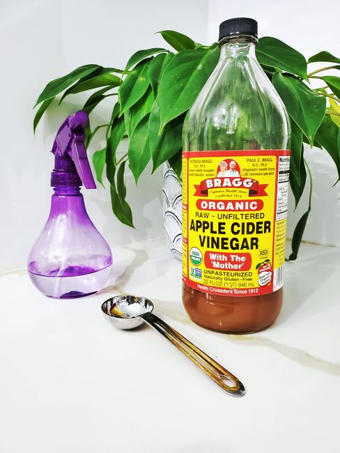 Produits ménagers naturels faits maison